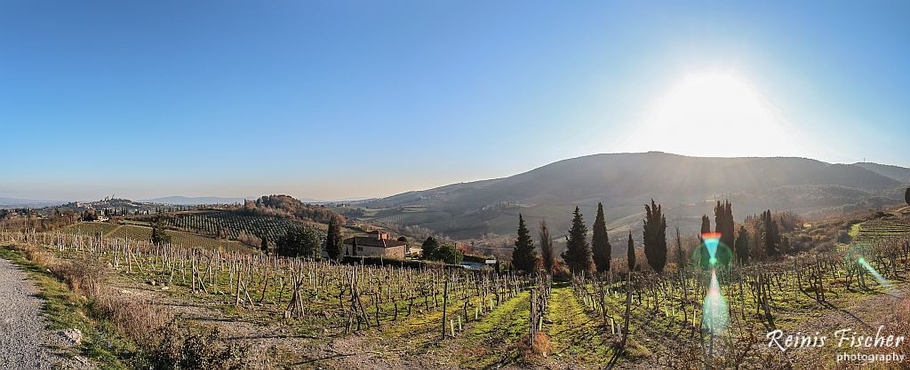 Vineyards in Tuscany