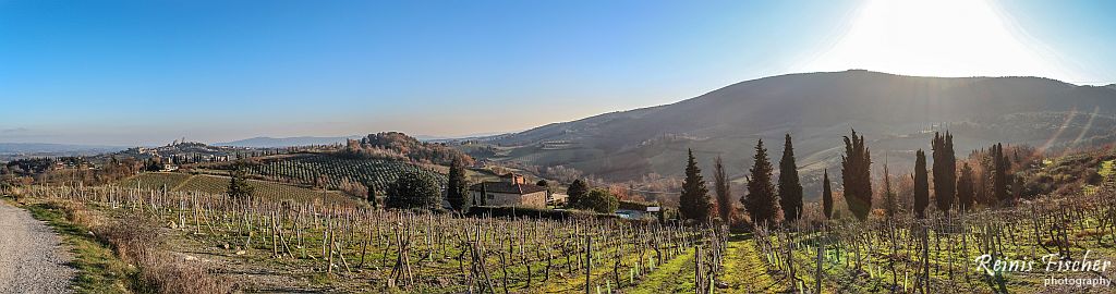 Panorama photo of vineyards in Tuscany