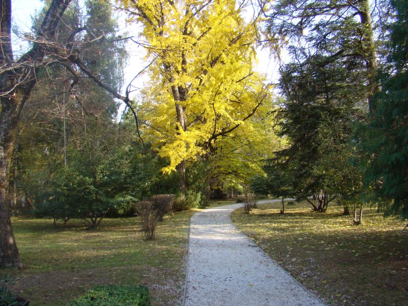 Autumn in Tsinandali