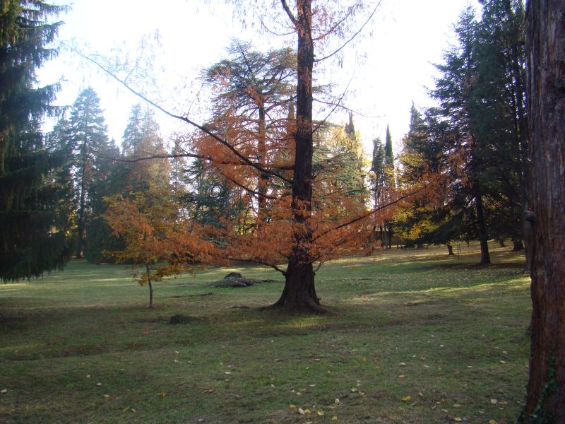 Alexander Chavchavadze park