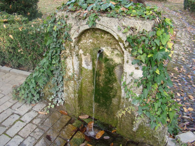 Spring Water at Tsinandali