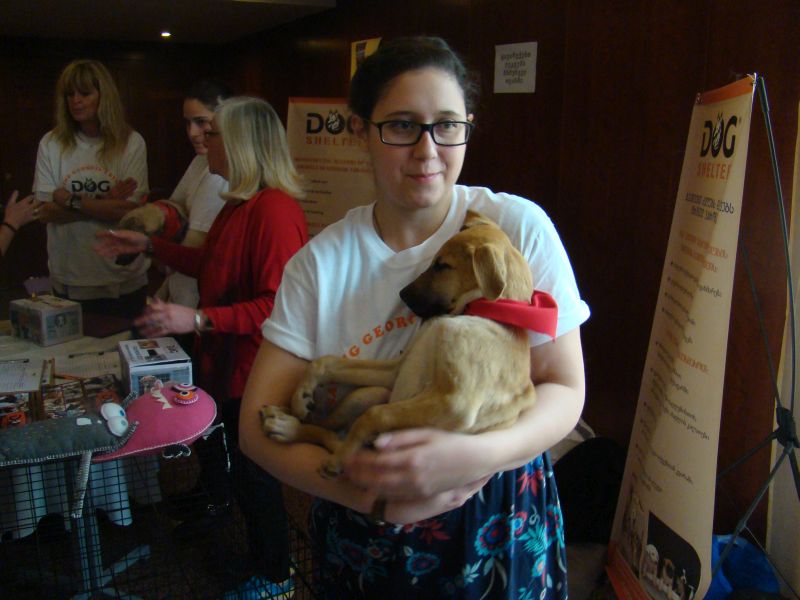 Volunteers from Dog shelter