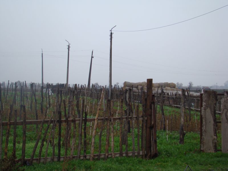 Vineyards