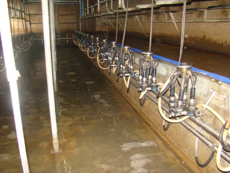 Milking Station