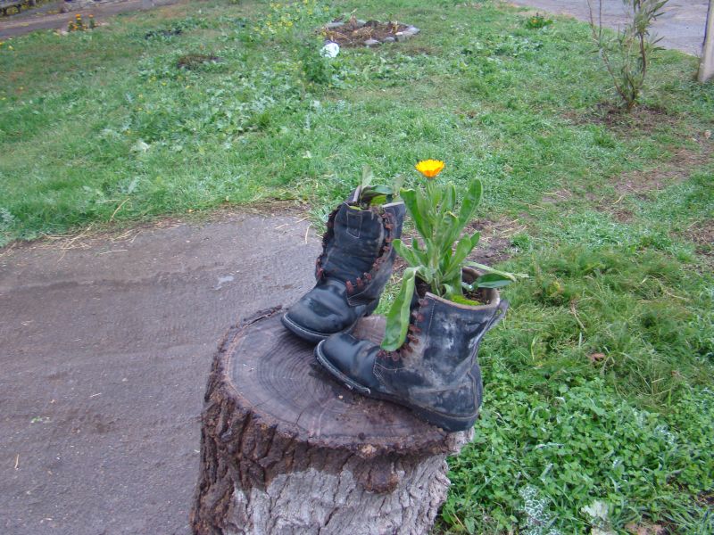 Farm decorations