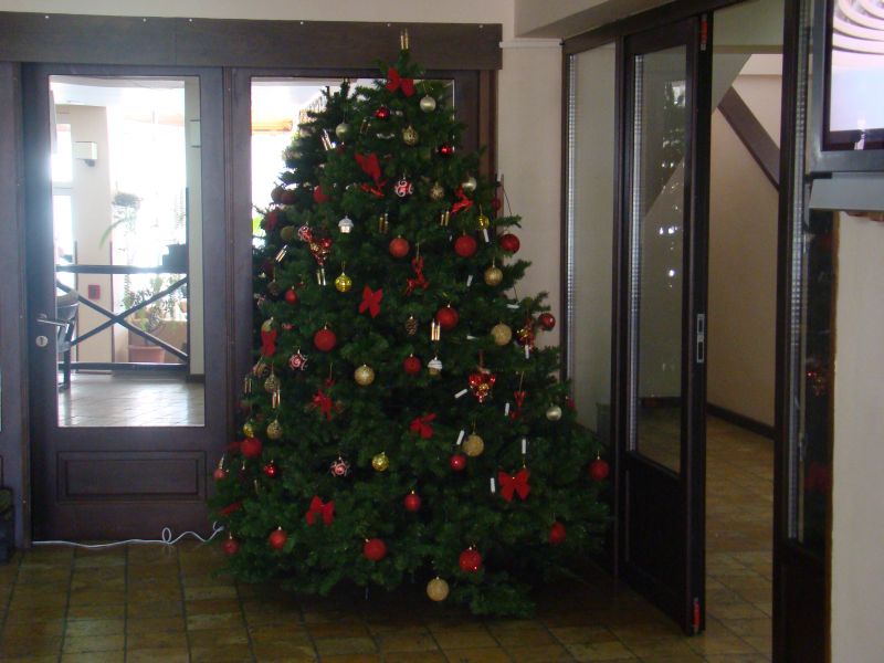 Christmas tree at Loby
