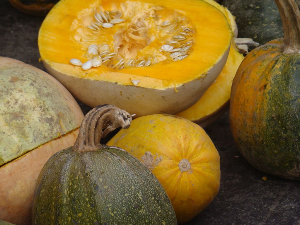 Pumpkins for sale at Tbilisi Dezerter market