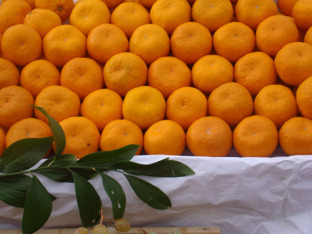 Mandarins at Tbilisi Dezerter market