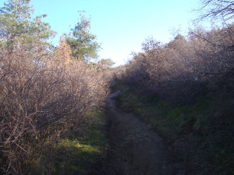 Hiking trails in Tbilisi