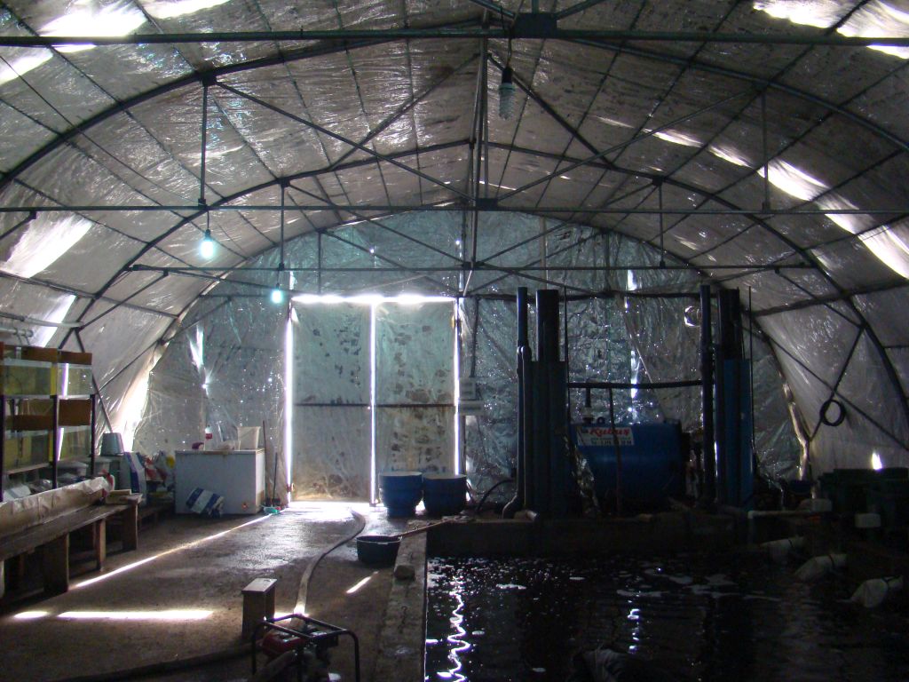 Fish Farm in Sartichala