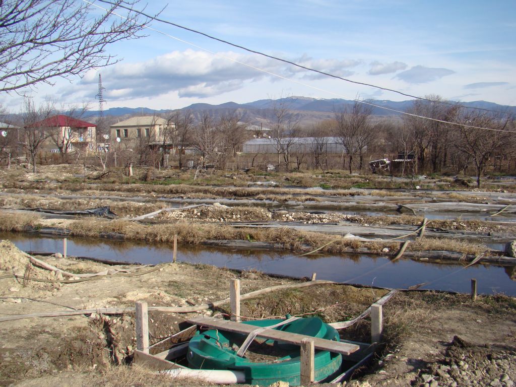 Fish farm ravines in Sartichala