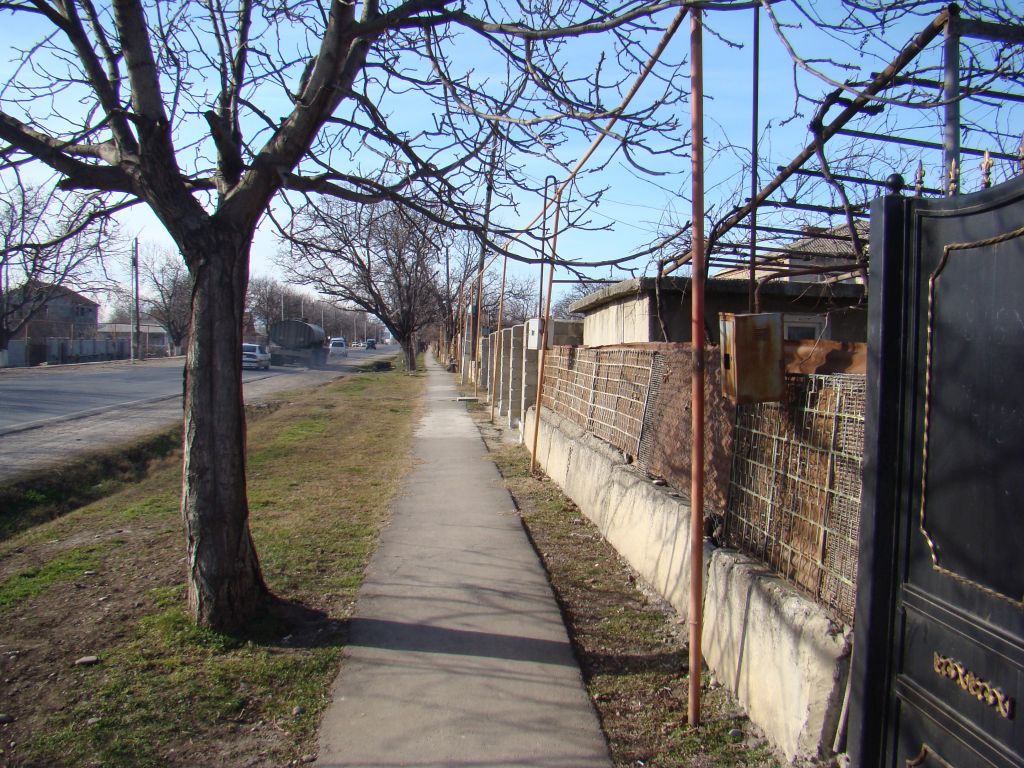 Street in Sartichala