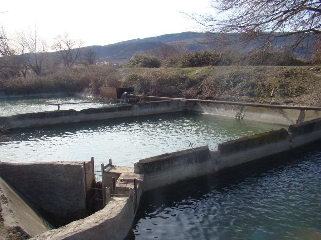 Fish pools near Sagarejo