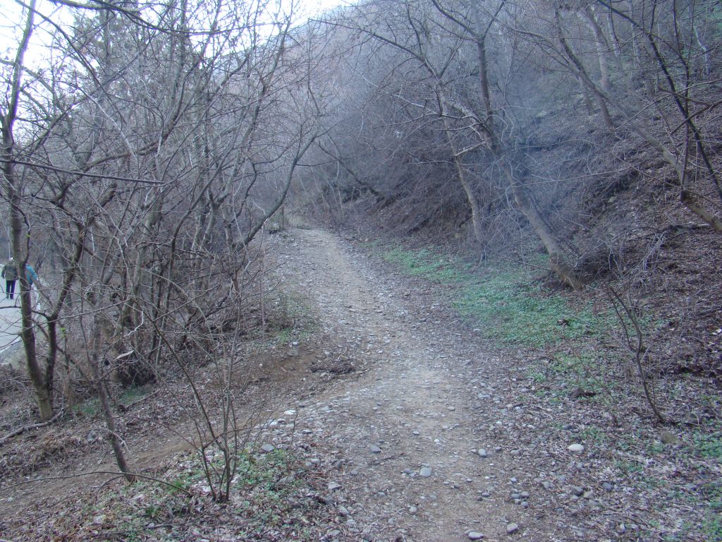 Hiking trail near Turtle lake