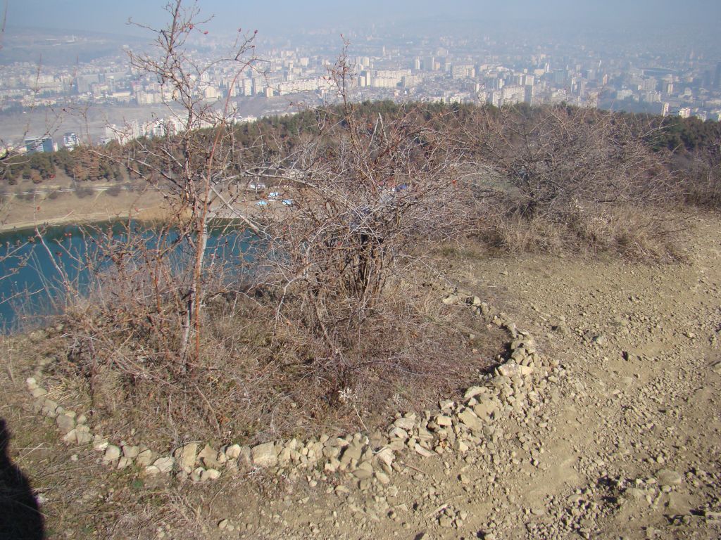 Rocky garden