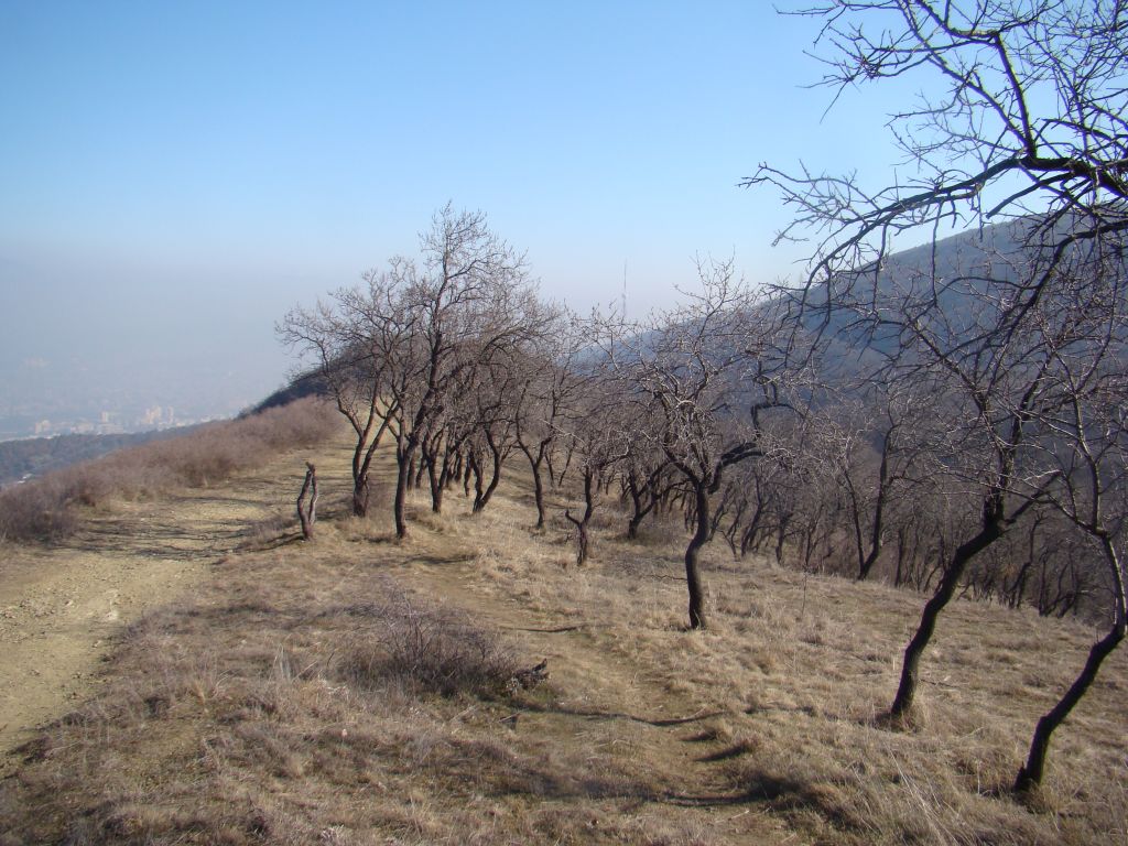 Tbilisi Hiking Trails