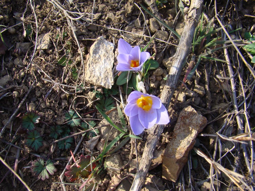 More Spring found on this macro