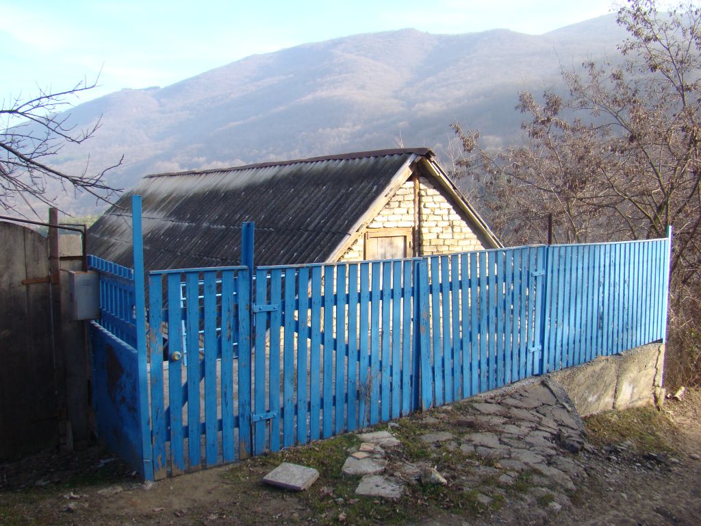 Dwelling house in Tskneti