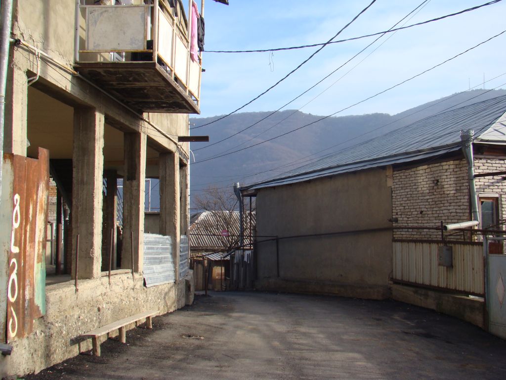 Street in Tskneti