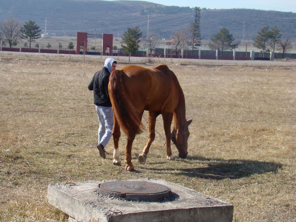 At Tbilisi Hippodrome