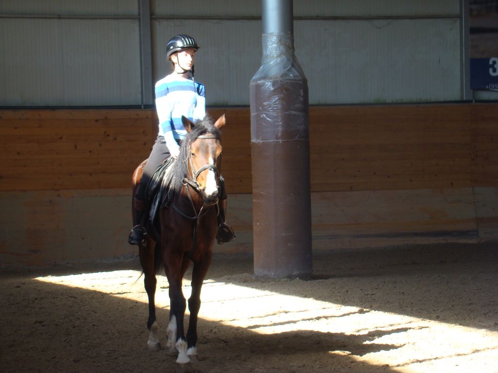 Jockey and a horse at a training ring