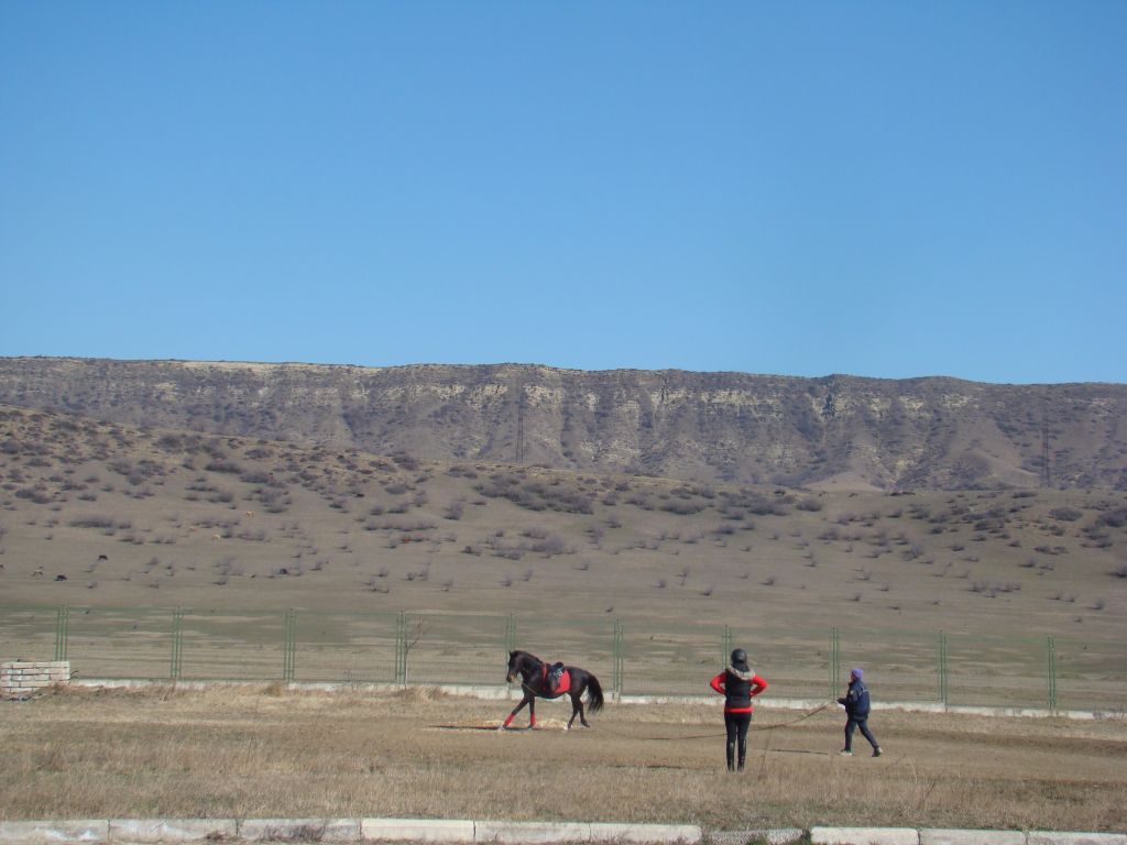 At Tbilisi hippodrome