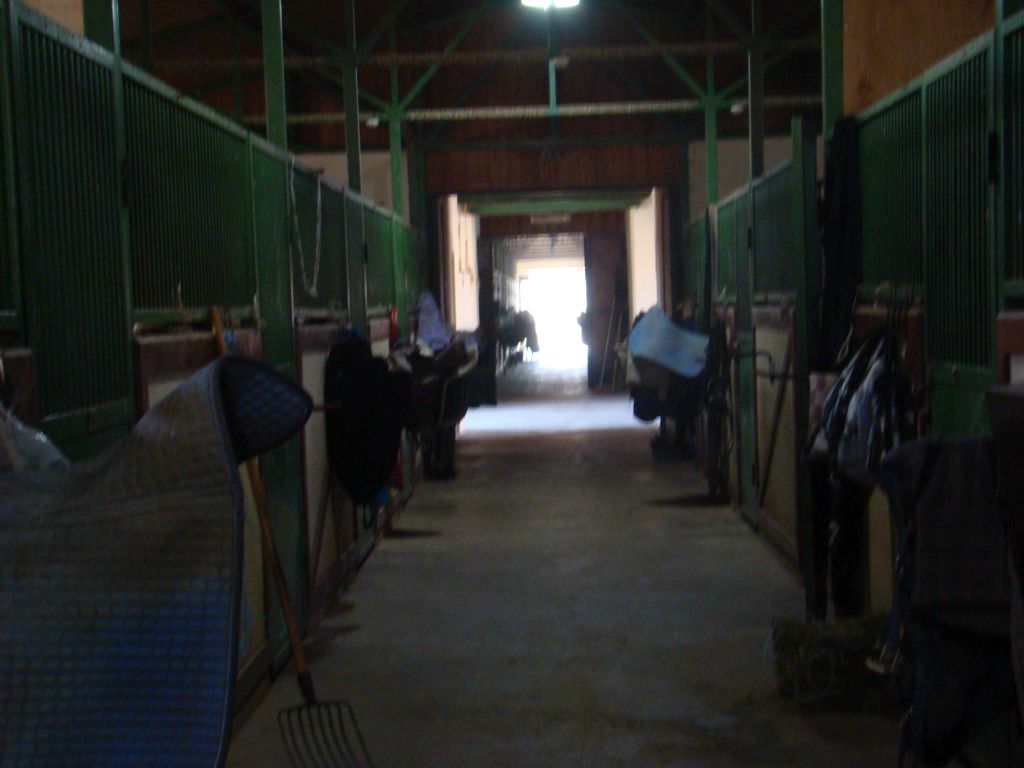 Inside Horse Stables