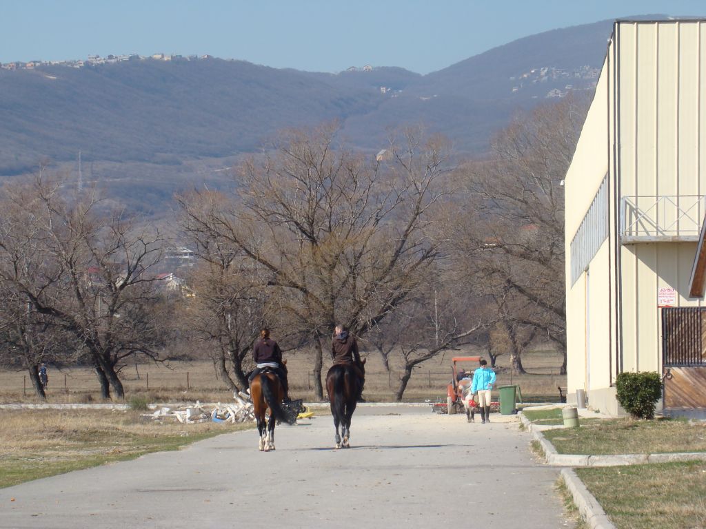 At Tbilisi Hippodrome