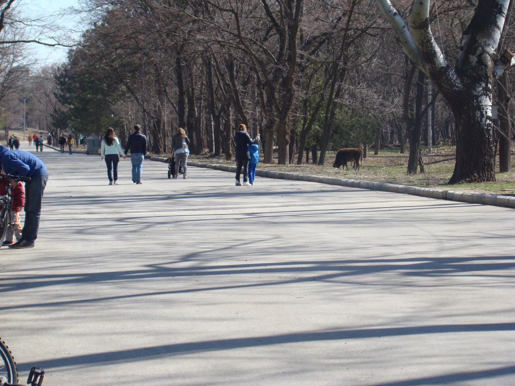 Recreational area near Lisi lake