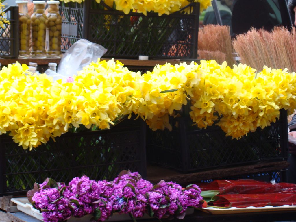 Narcissus for Sale at Tbilisi Dezerter Bazaar