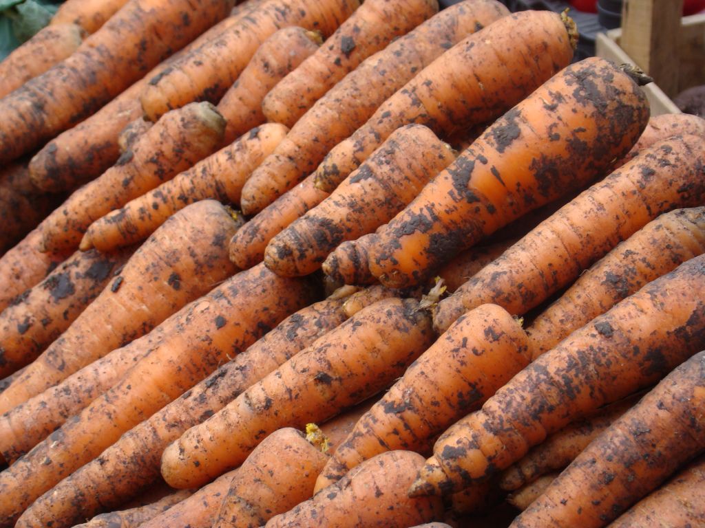 Carrots