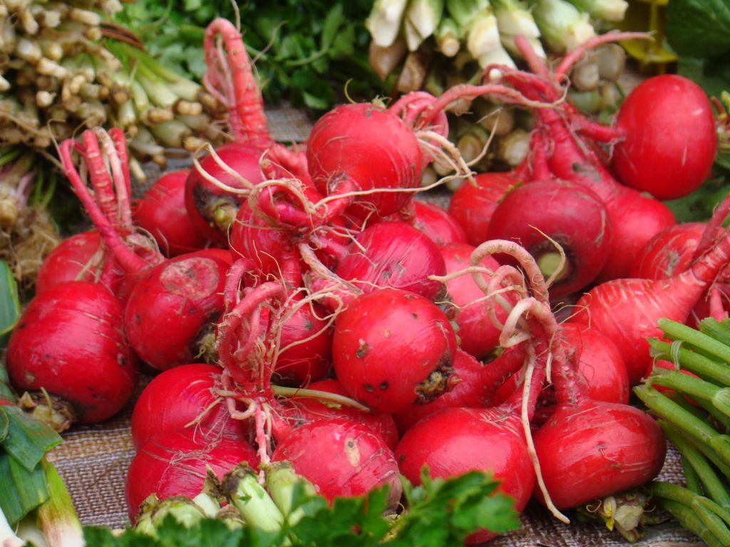 Radishes at Tbilisi market