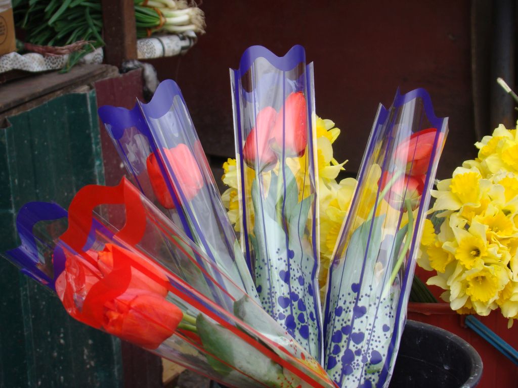 Tulips for sale at Tbilisi market