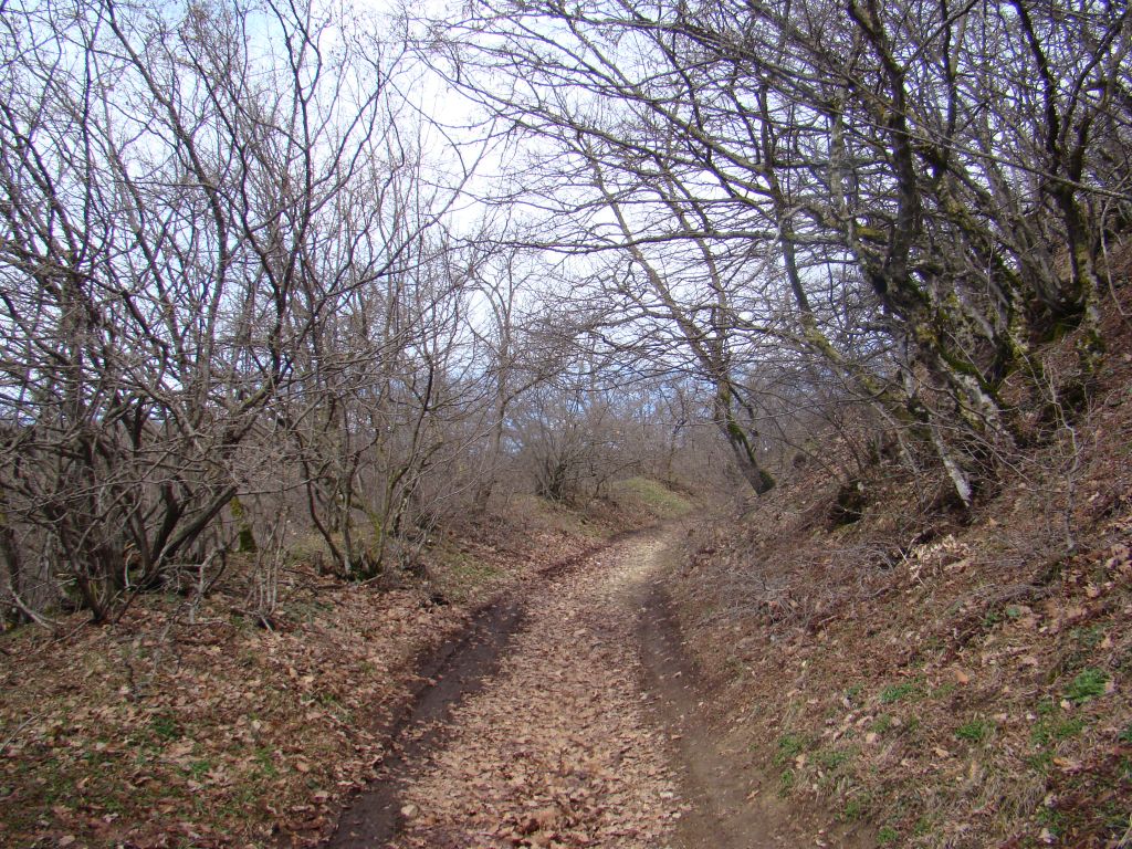 Trail to Birtvisi Canyon