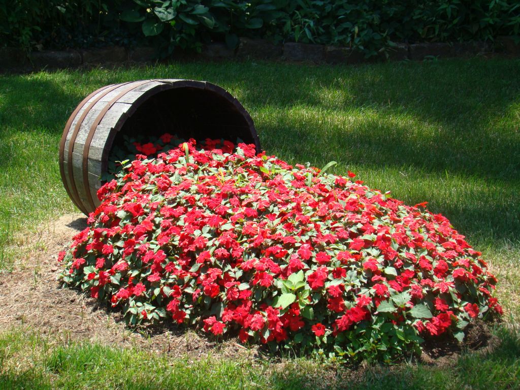 Flowers in the barrel