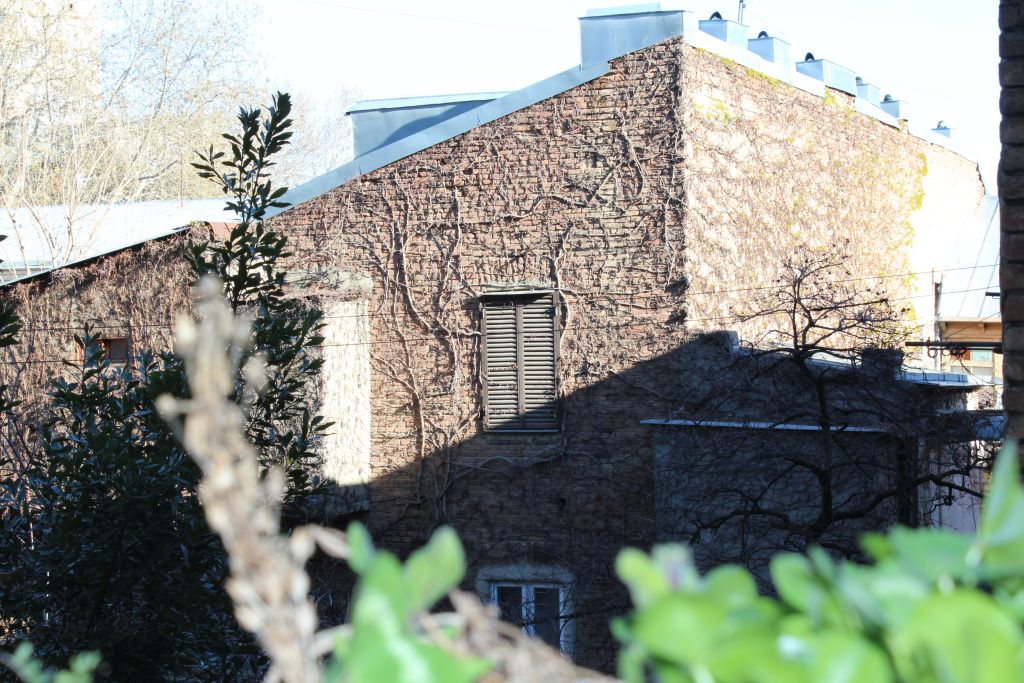 A brick wall in high sun light