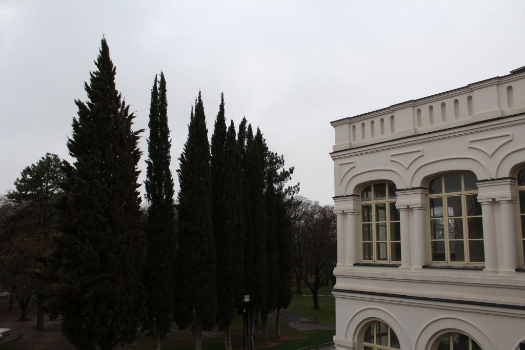 Outdoor terrace at Château Mukhrani