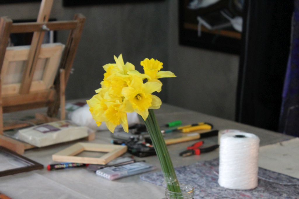 Daffodils at Kon-Tiki art studio
