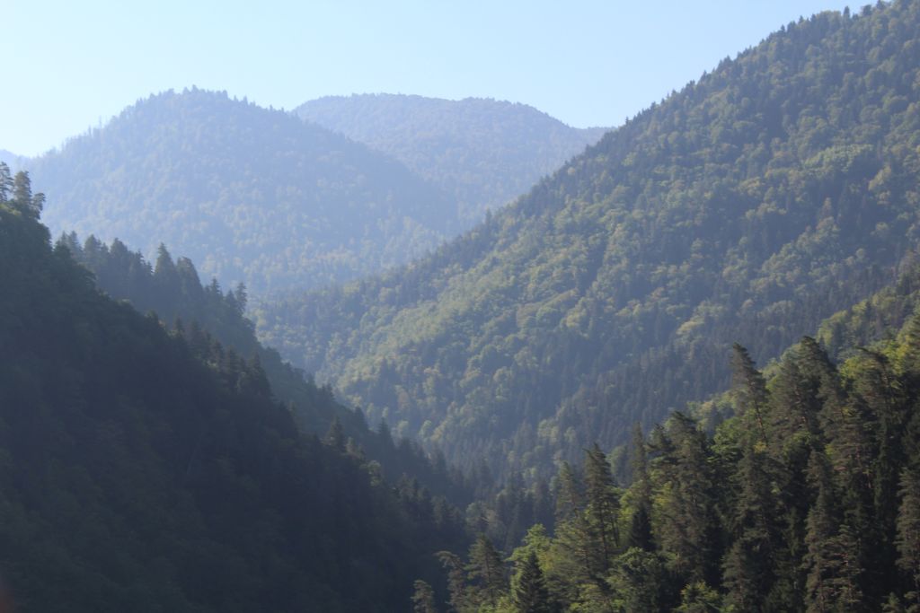Aerial view to Borjomi gorge from cable car
