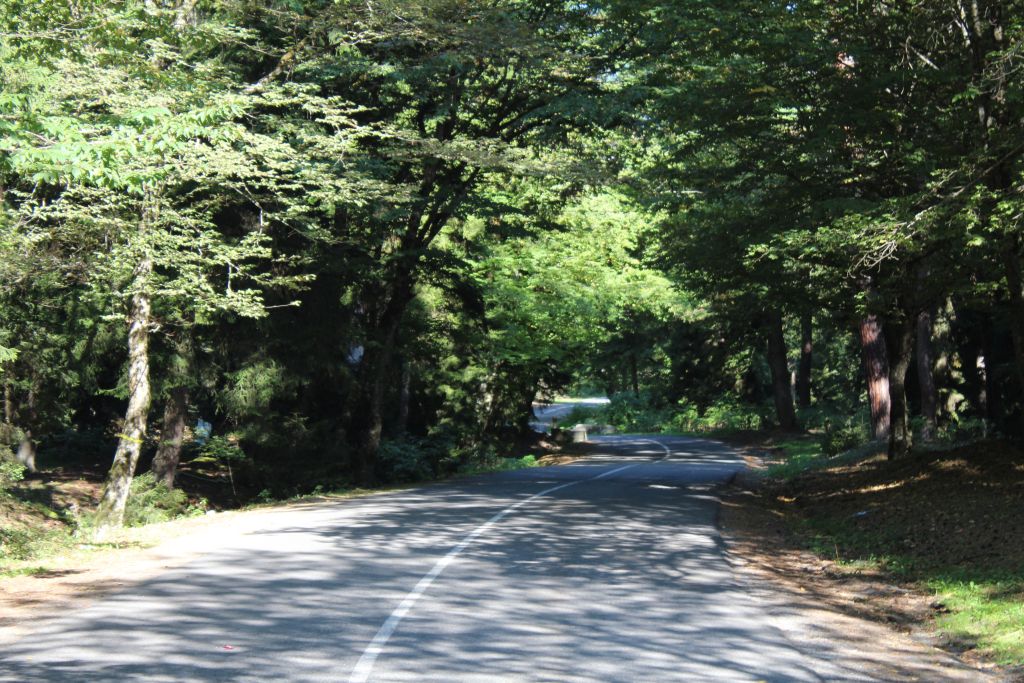 Mountainous road in Borjomi