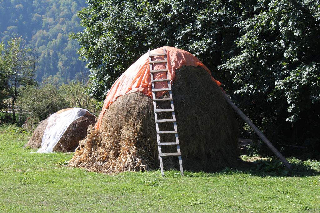 Haystack in Borjomi 