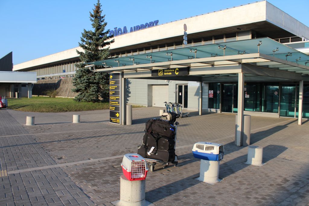 Two cats just landed at Tbilisi airport