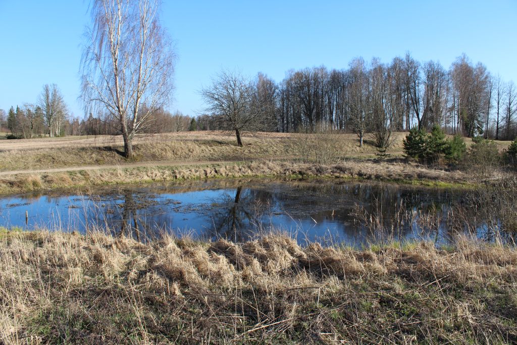 A small fish pond near house