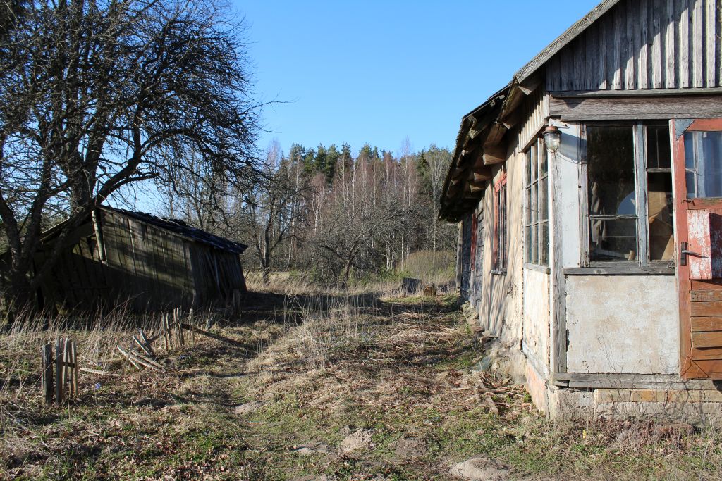 Backyard of house