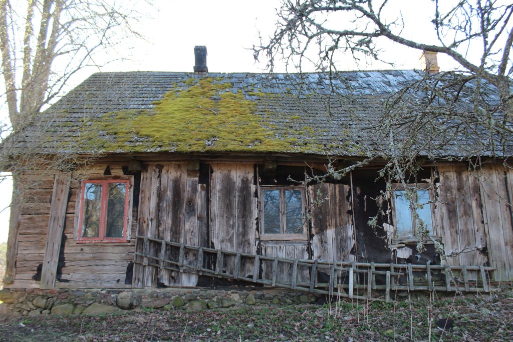 Moss covering the roof