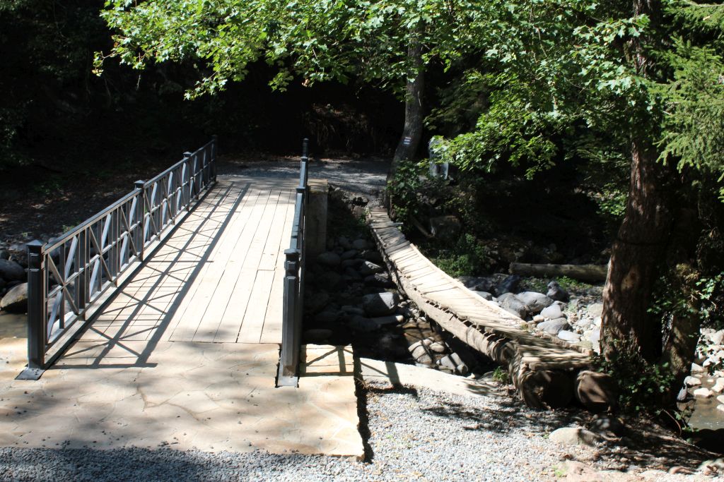 Newly constructed and old wooden bridge in Borjomi