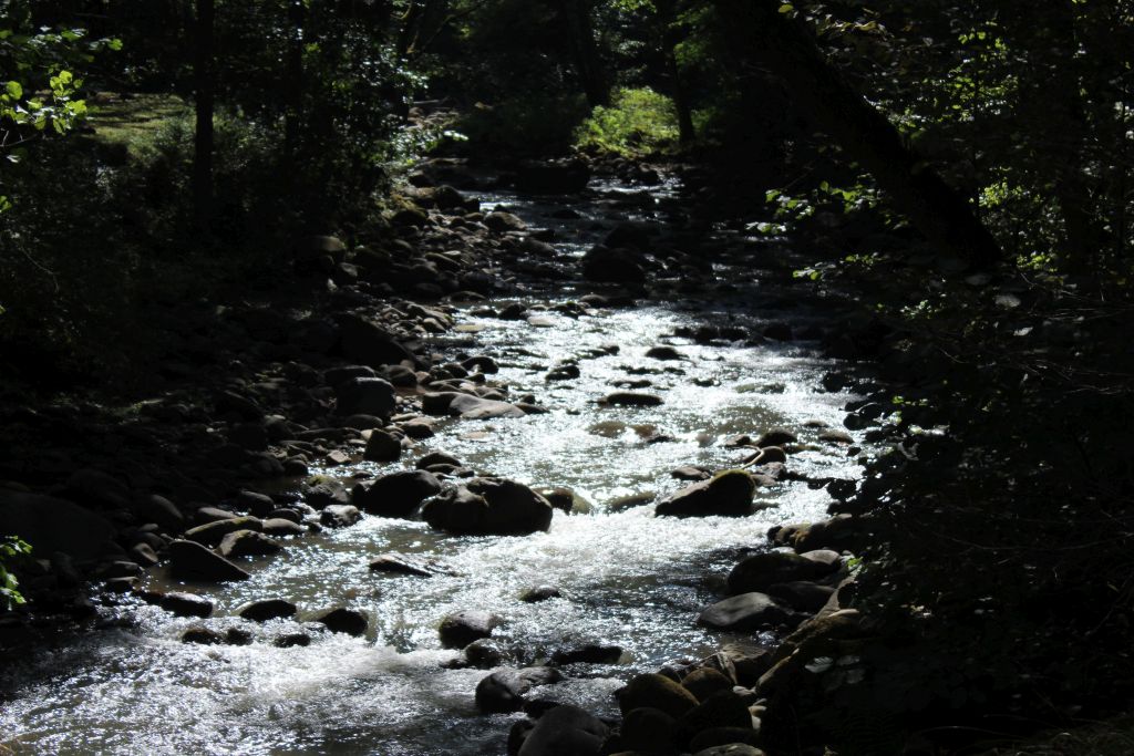 Rocks on the bend of River Mtkvari in Borjomi