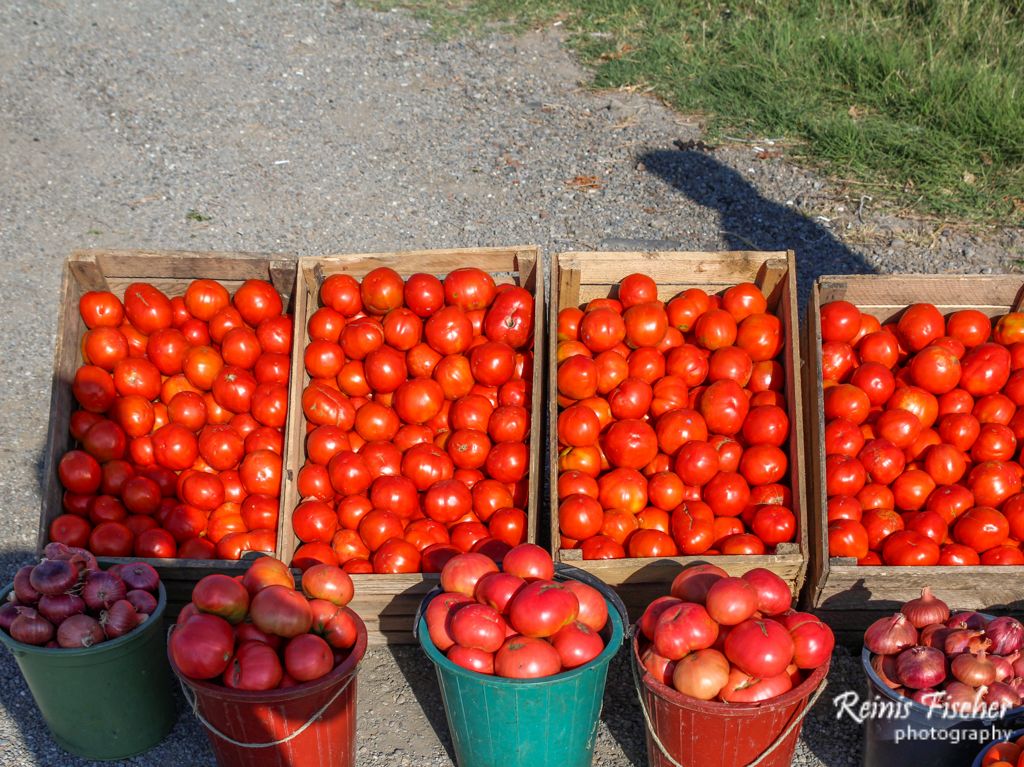 Tomatoes for sale near Gori highway in Republic of Georgia