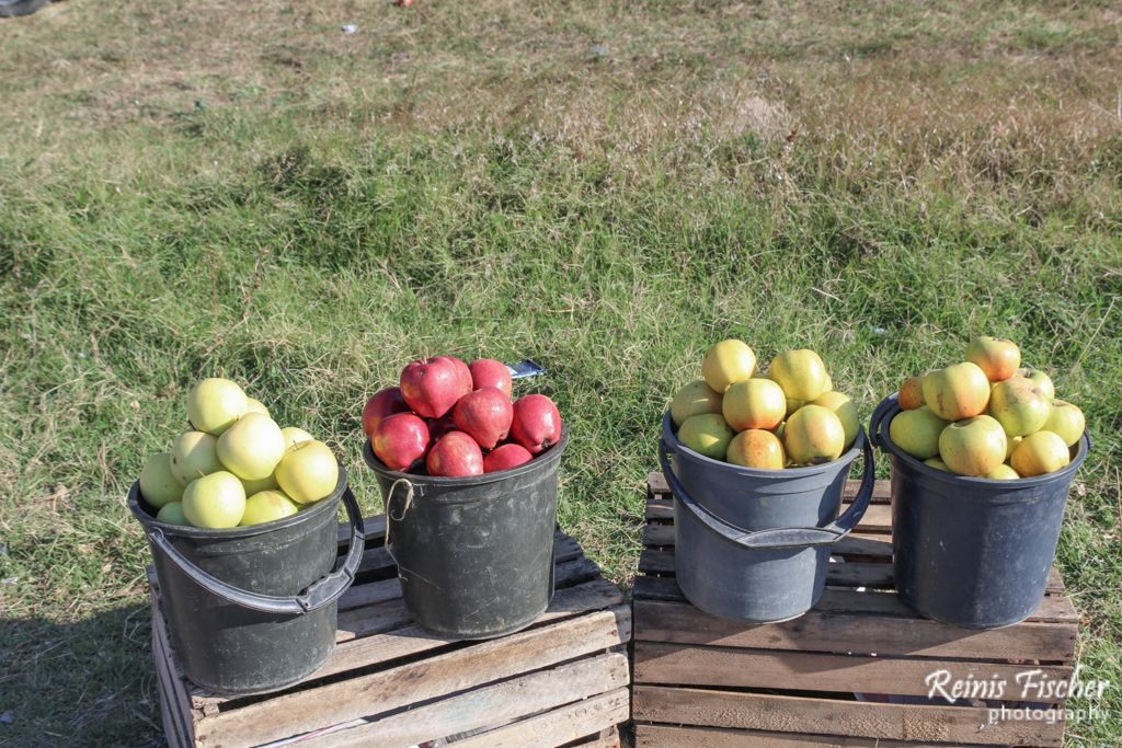Apples for sale at highway market