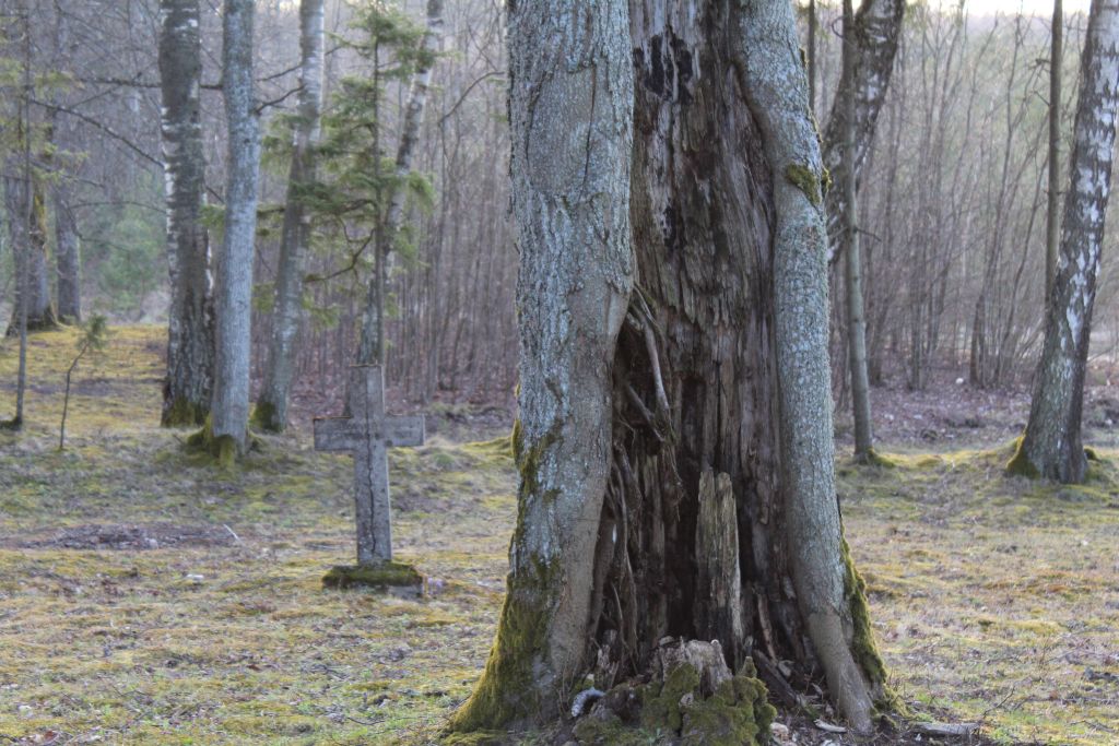 Lightning taken tree and cross